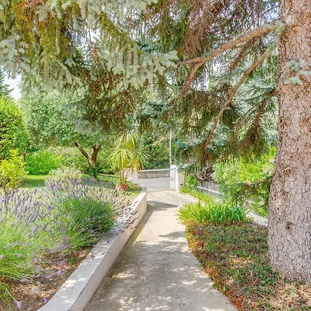 Dyonis Vi4439 By Riviera Homes *